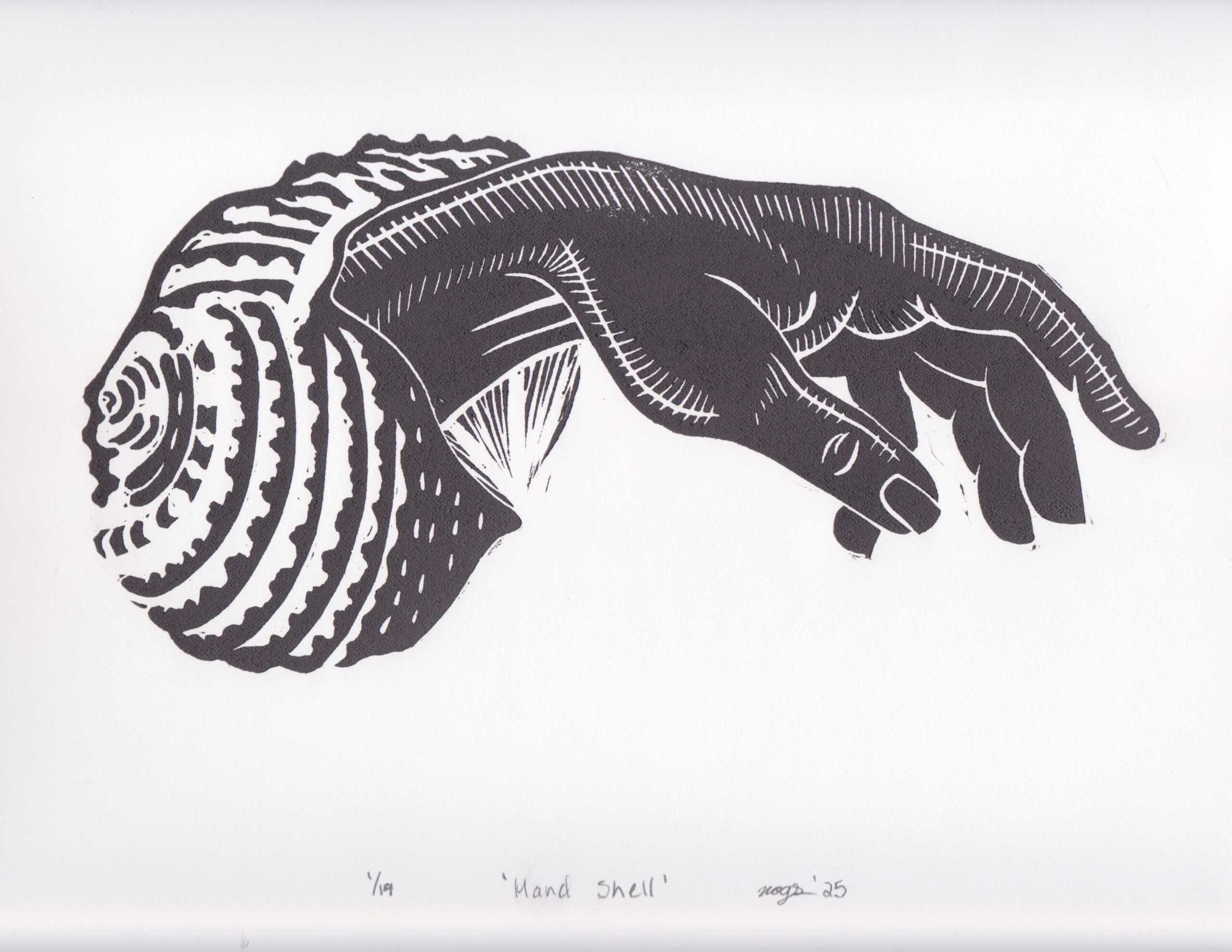 Hand Shell Print - Image 2